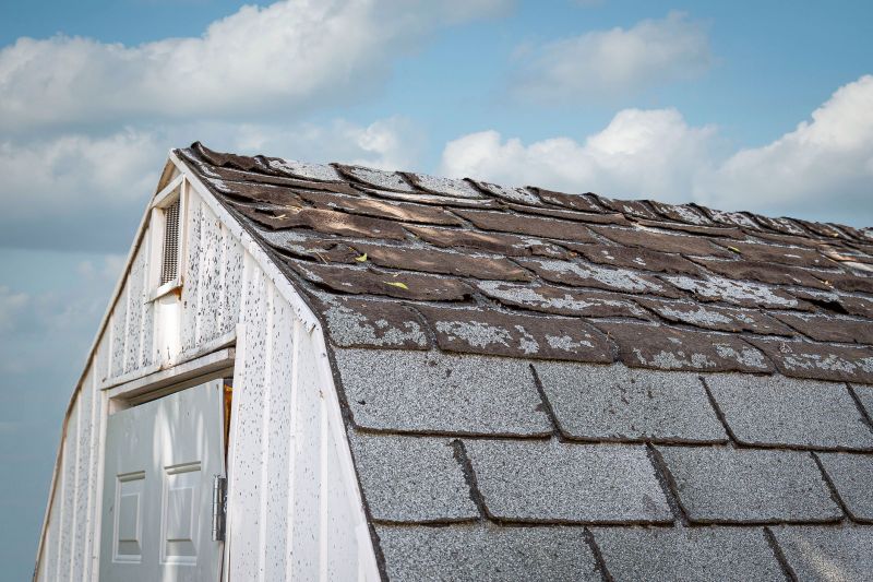 Roof Repairs and Upgrades